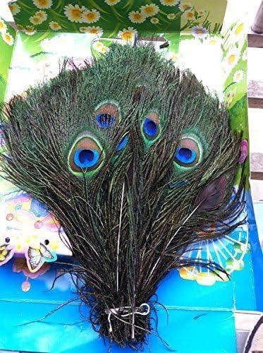 500pcs Real Natural Peacock Feathers Floral Decoration About 10-12 Inches (25-30cm) Wedding Decorations peacock feathers by lotmusic
