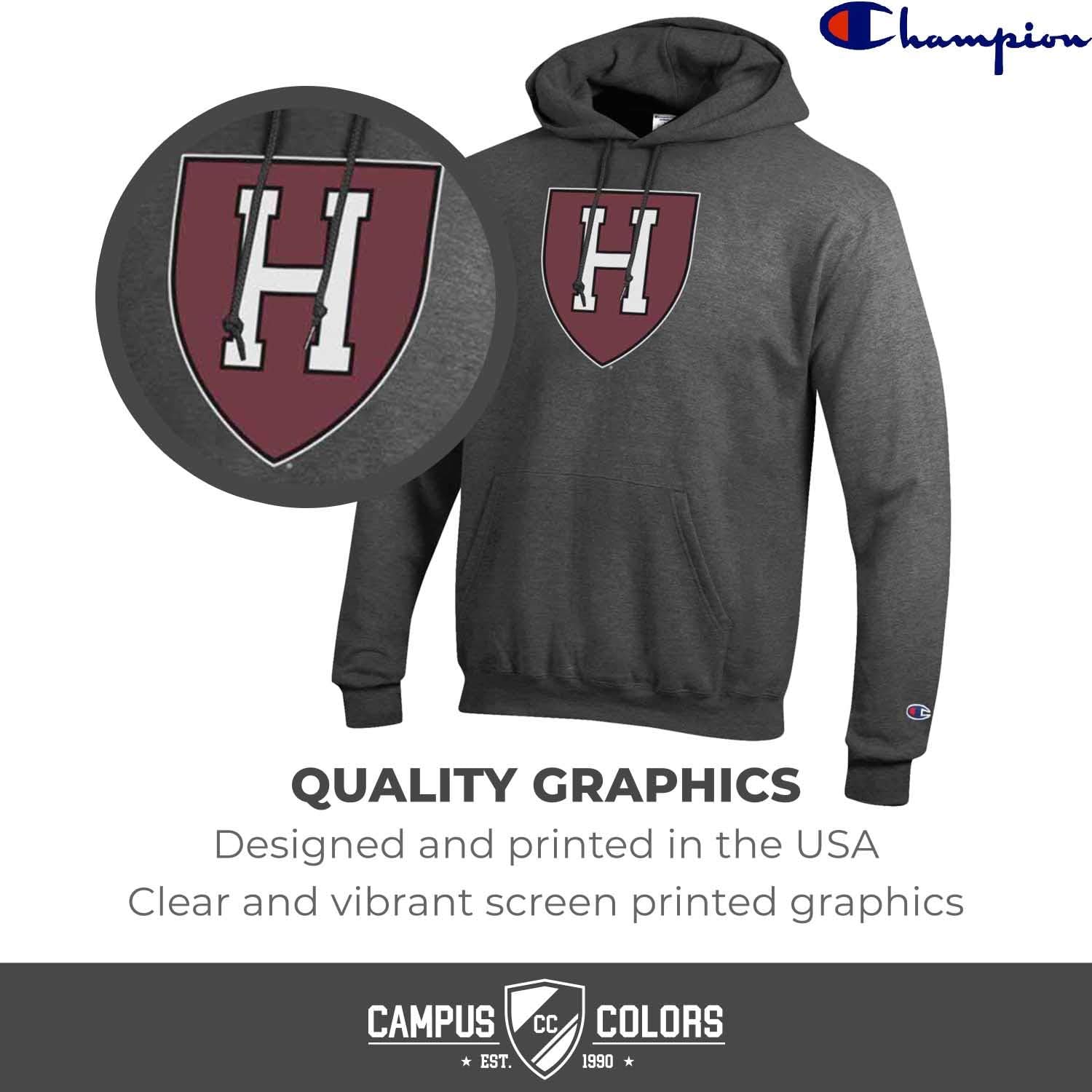 champion mascot hoodie