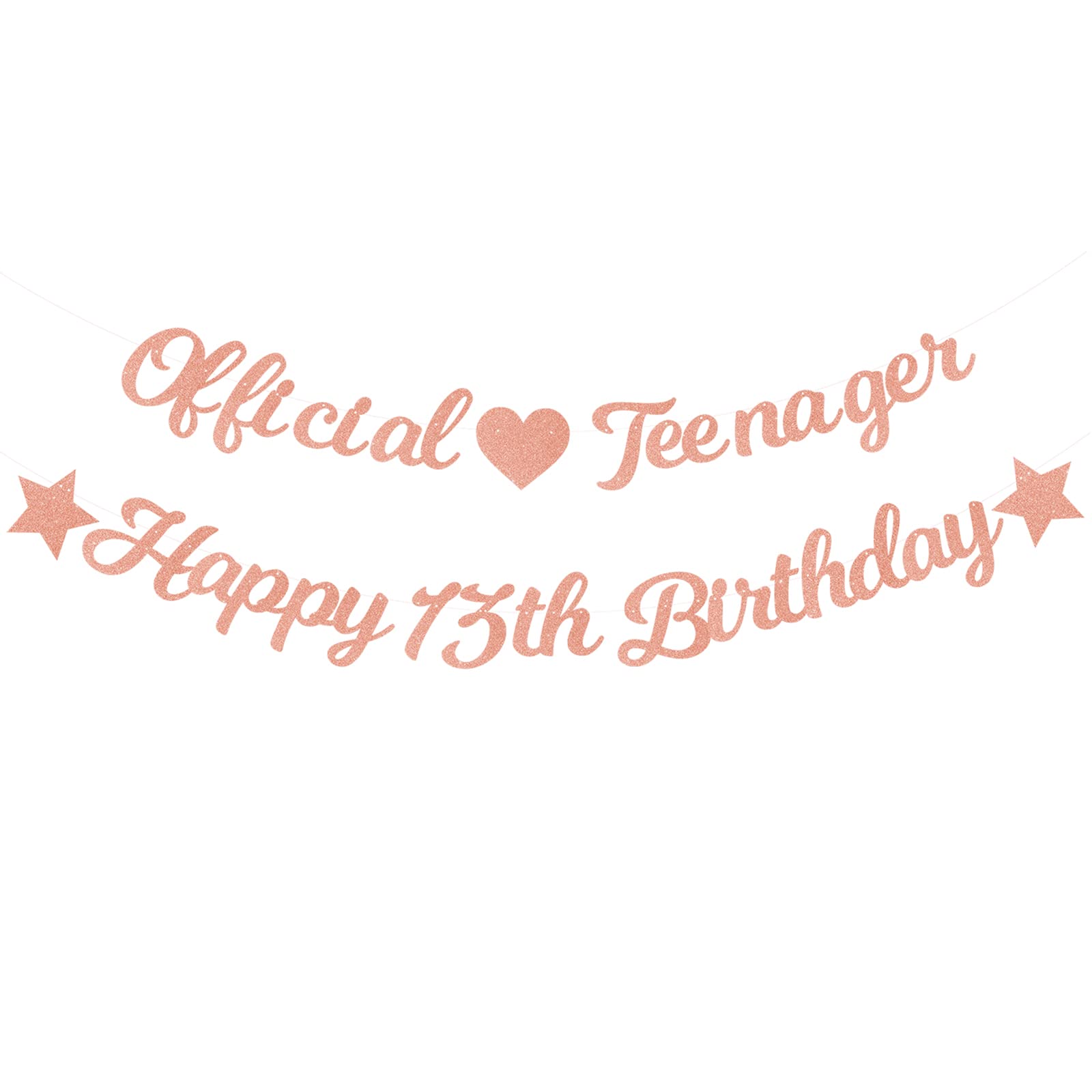 Elicola 13th Birthday Decorations - Official Teenager Banner with Happy 13th Birthday Bunting Backdrop, Rose Gold