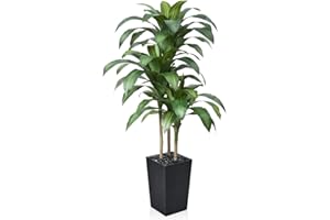 VeriNatural 5FT Artificial Dracaena Tree - UV Resistant Faux Tropical Plant, Potted Fake Tree with Taper Planter & Pebbles - Indoor Outdoor Greenery for Home, Porch, Living Room, Bedroom Decor, VN127