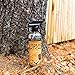 Liquid Bat Call - Natural Bat Attractant - Increase Chances of Attracting Bats to Bat Houses - 24 Ounce Spray Bottle with Specialized Formula