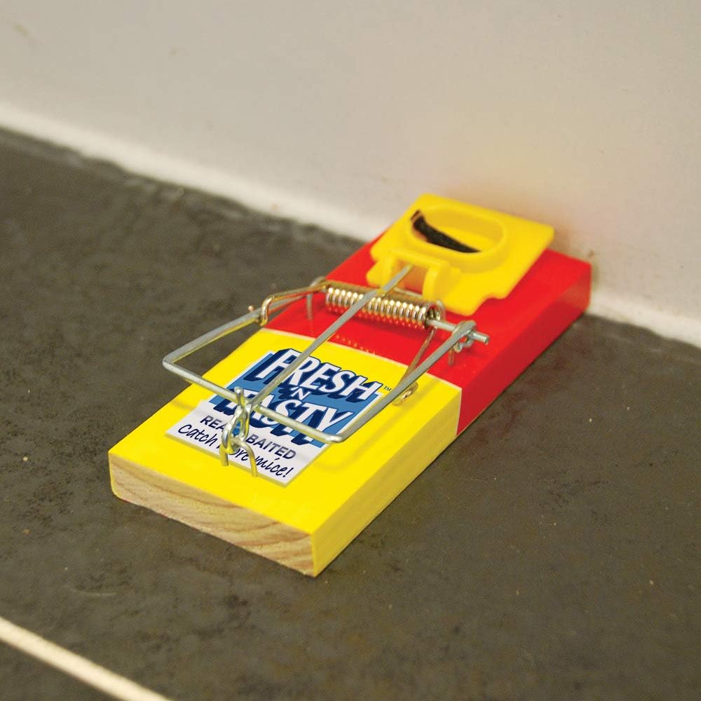 The Big Cheese Fresh Baited Mouse Trap, Kills Mice with Spring Mechanism, Ready-To-Use - Image 3