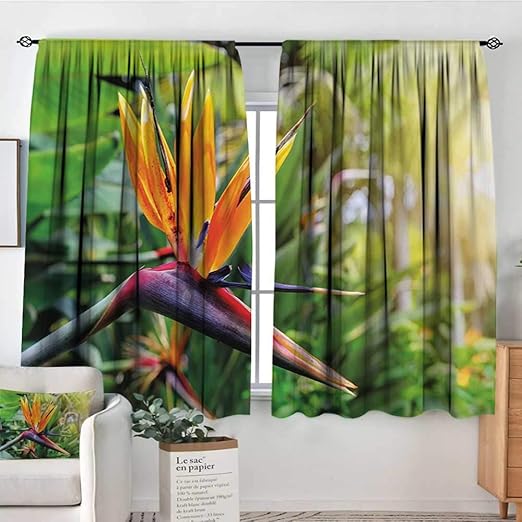 Amazon Com Plant Window Curtain Drape Close Up Image Of