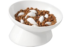 PETTOM Slow Feeder Cat Bowl, Ceramic Raised Cat Slow Feeder Bowl, Elevated, Anti Vomiting for Dry and Wet Food, White (1 Pack)