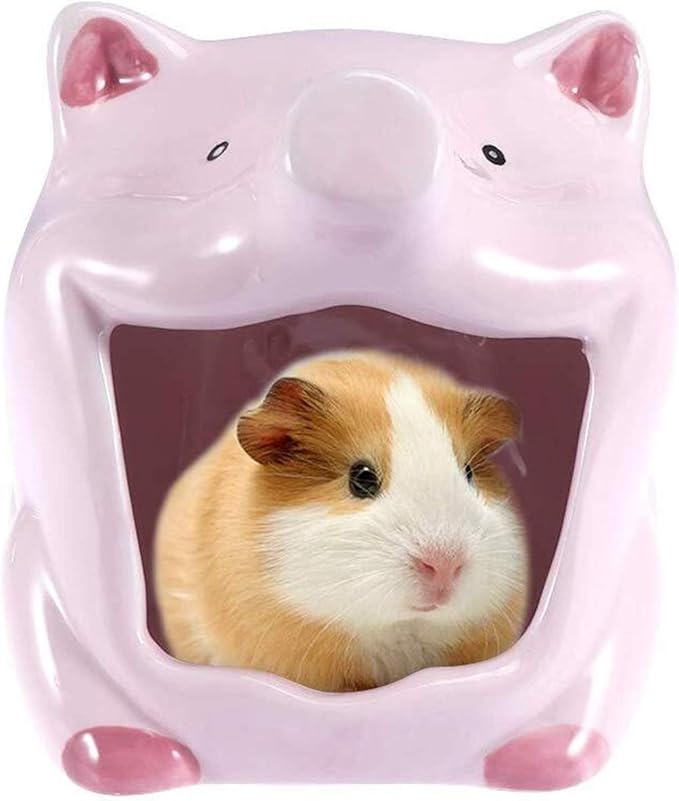 Hamster Cage, Ceramic Hamster Hideout NestHamster Sand BathChinchilla
