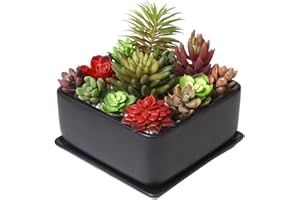 MyGift Modern 7 inch Square Ceramic Succulent Planter Pot with Drainage Tray Window Box & Saucer Matte Black