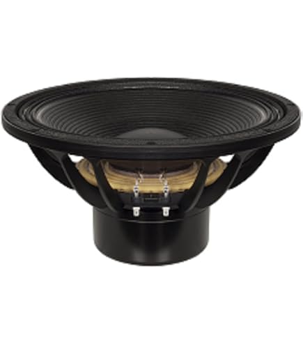Amazon.com: B&C Speakers 18TBX100-8 Very High Power Capacity 18-in