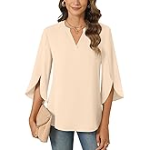 Anyally Women's Chiffon Blouses 3/4 Sleeve Summer Dressy Tunic Tops Casual Loose V Neck T-Shirts