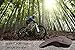 Komfy Machine Washable and Dryable Bike Seat Cushion Cover for Women and Men | Perfect Peloton and Indoor Cycling Accessory Premium Quality