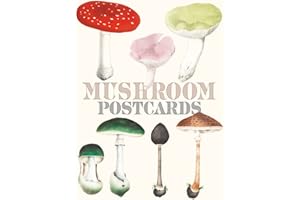 Mushroom Postcards