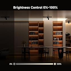 BTF-LIGHTING 100 Watts DC24V 4.2A Dimmable