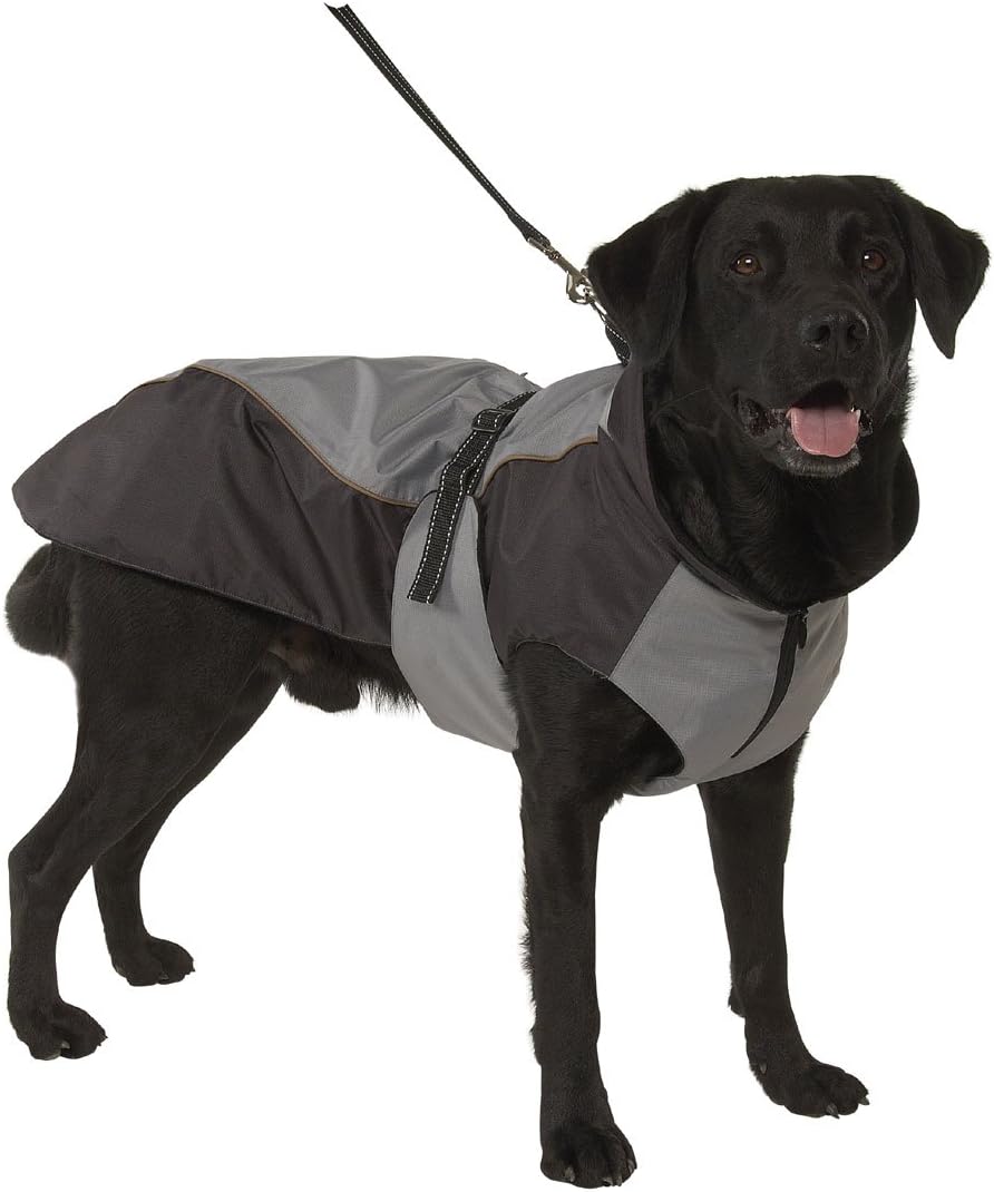 buster outdoor wear dog raincoat