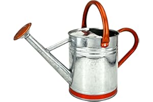 Lechloris Metal Watering Can for Outdoor Plants, Galvanized Steel Watering Can with Removable spout, 1 Gallon,Perfect Home & Garden Décor Retro Zinc Hue