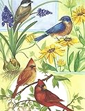 Gina B. Designs Song Birds Boxed Note Cards-- Set of 8