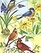 Gina B. Designs Song Birds Boxed Note Cards-- Set of 8
