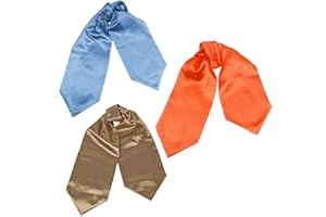 Dan Smith Solid Party Day Cravat Feel Silk Cravat Tie Ascot Assorted Pack Plain