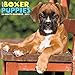 Just Boxer Puppies 2017 Wall Calendar (Dog Breed Calendars)