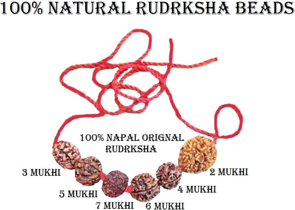 SHI SHANKAR ACCESSORIES Multicolor Wood Rudraksha 2 3 4 5 6 7 Mukhi Bead Mala Necklace Bracelet for Men and Women