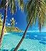 Ambesonne Ocean Duvet Cover Set, Image of a Tropical Island Beach Theme The Palm Trees and Clear Sea Print, Decorative 3 Piece Bedding Set with 2 Pillow Shams, Queen Size, Blue Turquoise