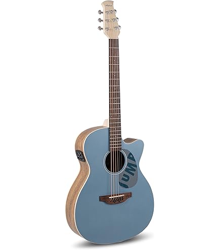 Amazon.com: Applause Acoustic guitar, Right, AB24-5S Black Satin