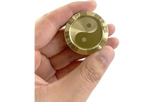 GreenHB Metal Fidget Slider Lucky Coin - Tai Chi Coin Haptic Coin EDC Toy Metal Fidget Toys, More Cycle You Played More Luck You Got, Every Dog Has His Day, All Money Go My Home!