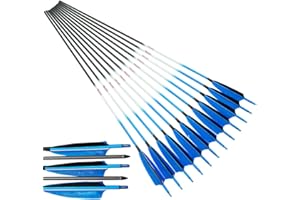 Linkboy Archery Carbon Arrows Hunting Practice Target Arrows Fluorescent with Removable Tip for Compound Recurve Long Bows, Spine 250 300 340 400 500 600 700 800, Pack of 6/12PCS