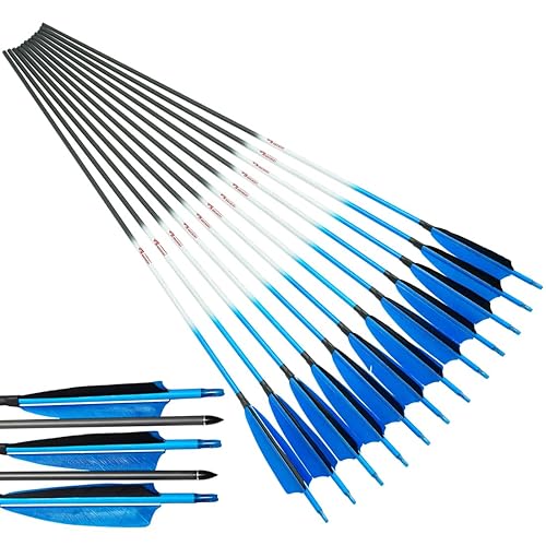 Linkboy Archery Carbon Arrows Hunting Practice Target Arrows