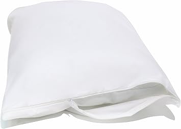 Amazon Com National Allergy Queen 4 Pack Allergy And Bed Bug
