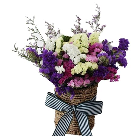 Tellw Fleurs Naturelles De Bouquet De Fleurs Séchées Avec Panier De Fleurs Décoration Cristal Herbe étoiles Package Gypsophile Fleurs Coloré H25cm