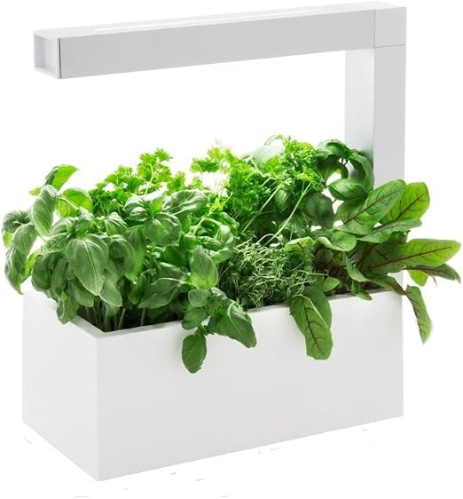 Huerto interior HERBIE blanco (enchufe espagnol) 6 plantas de ...