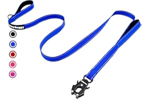 HEYDOGGY Strong Heavy Duty Dog Leash - 6ft Reflective Nylon Training Leash with Soft Padded Double Handle & Auto Lock Frog Clip, Safety Traffic Control for Large Medium Small Dog No Pull Walking (DarkBlue,6ft)