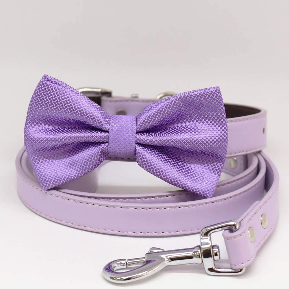 lilac leather dog collar