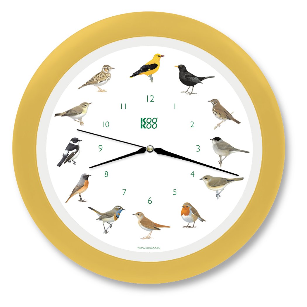 KOOKOO Singvogel cream-yellow, singing birdclock includes 12 genuine original field recordings from native songbirds