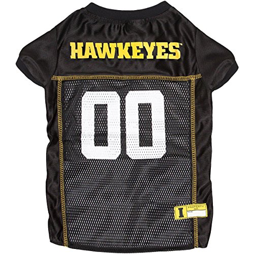 Iowa Hawkeyes