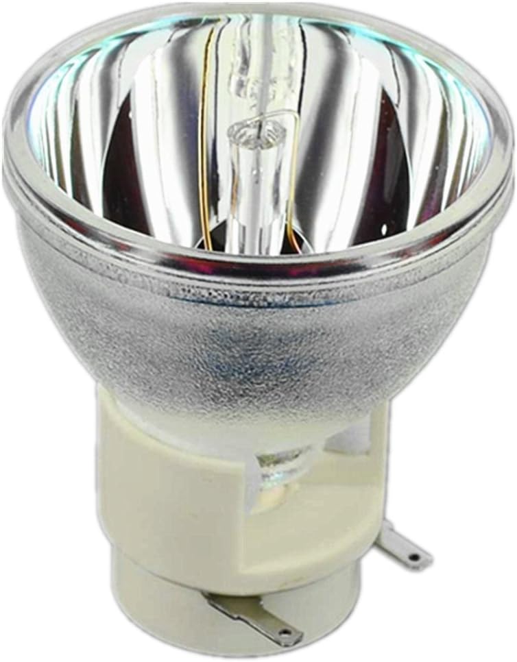 WEDN BL-FP230I Replacement Projector Lamp Bare Bulb for OPTOMA SP.8KZ01GC01 HD300X HD33 HD3300