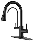 FORIOUS Black Kitchen Faucets with Water Filter, 2