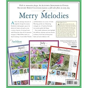 Audubon Songbirds and Other Backyard Birds Picture-A-Day Calendar 2018