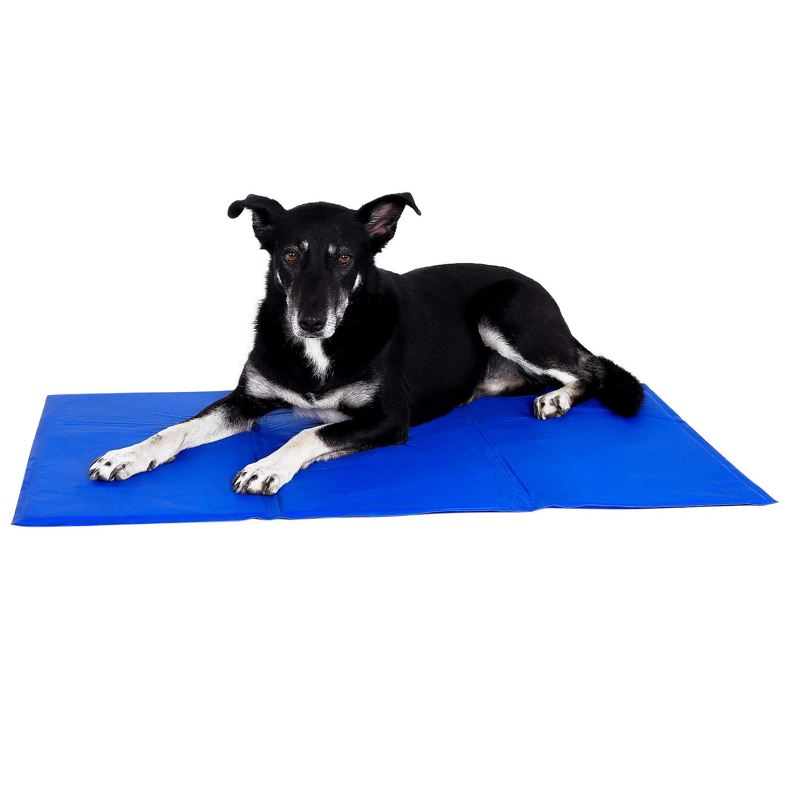 lionto Cooling mat for dogs & cats, self-cooling pet mat provides freshness on warm days, 100x60 cm, foldable cooling blanket without electricity, cooling through body contact, easy to clean, blue