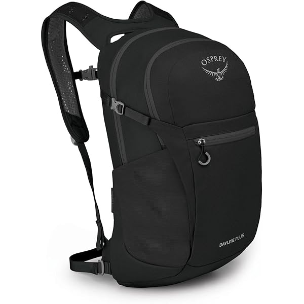 Amazon.com: Osprey Sojourn Porter 46L Travel Backpack