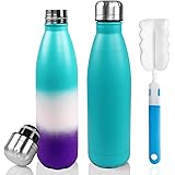 Sfee Insulated Water Bottle, 17oz Stainless Steel Water Bottles, Double Wall Vacuum Reusable Water Bottles Leak Proof BPA-Fre