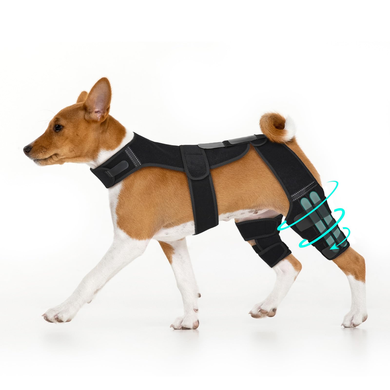 Photo 1 of (BAGGED) (USED/FAIR) Petdream Dog Knee Brace with Vest – Adjustable Support for ACL Injuries, Hind Leg Brace for Joint Pain Relief & Recovery