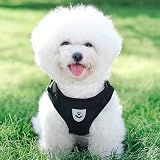 FEimaX Dog Harness and Leash Set Reflective No Pull Adjustable Vest view 7