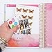 Erin Condren Mini Sticky Storage Pockets, Watercolor (Acc-MSSWC)