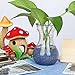 KISSTAKER Pebble Turtle Fish Tank Sand Rocks Aquarium Bonsai Succulent Plants Decoration Ornament Stone Landscape (500g Transparent and Blue)