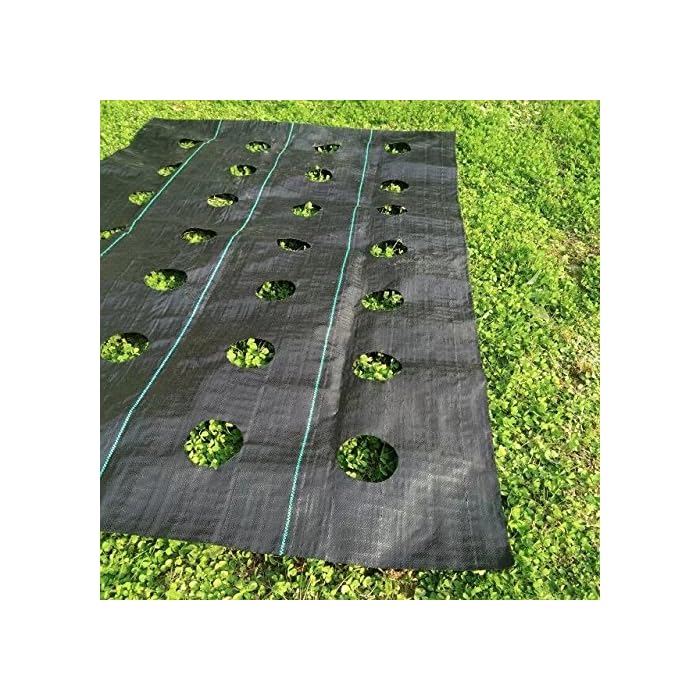 Buy Agfabric EasyPlant Weed Block for Raised Bed Outdoor Garden Weed
