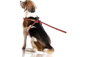Lynxking No Pull Rope Dog Harness No Pull Reflective Leash Harness Collar 3 in 1 Dog Halter Harnesses Adjustable for Large Giant Dog (Red, Large 1/2 inch)