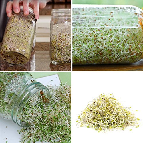 image for Novia Marcus 2 Pack Stainless Steel Sprouting Lids - 2 in 1 Superb Ven