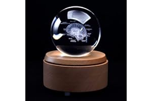 XINDAM 3D Human Brain with Labels Anatomical Model Paperweight(Laser Etched) in Crystal Glass Ball Science Gift (Included LED Base)