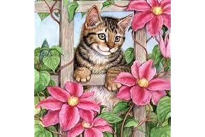 MVVMTOP DIY 5D Diamond Painting Kits for Adult and Kids, Cat Diamond Art Kits for Beginners, 5D Diamond Painting by Number Kits for Gift Wall Decor (12 x 12 Inch)