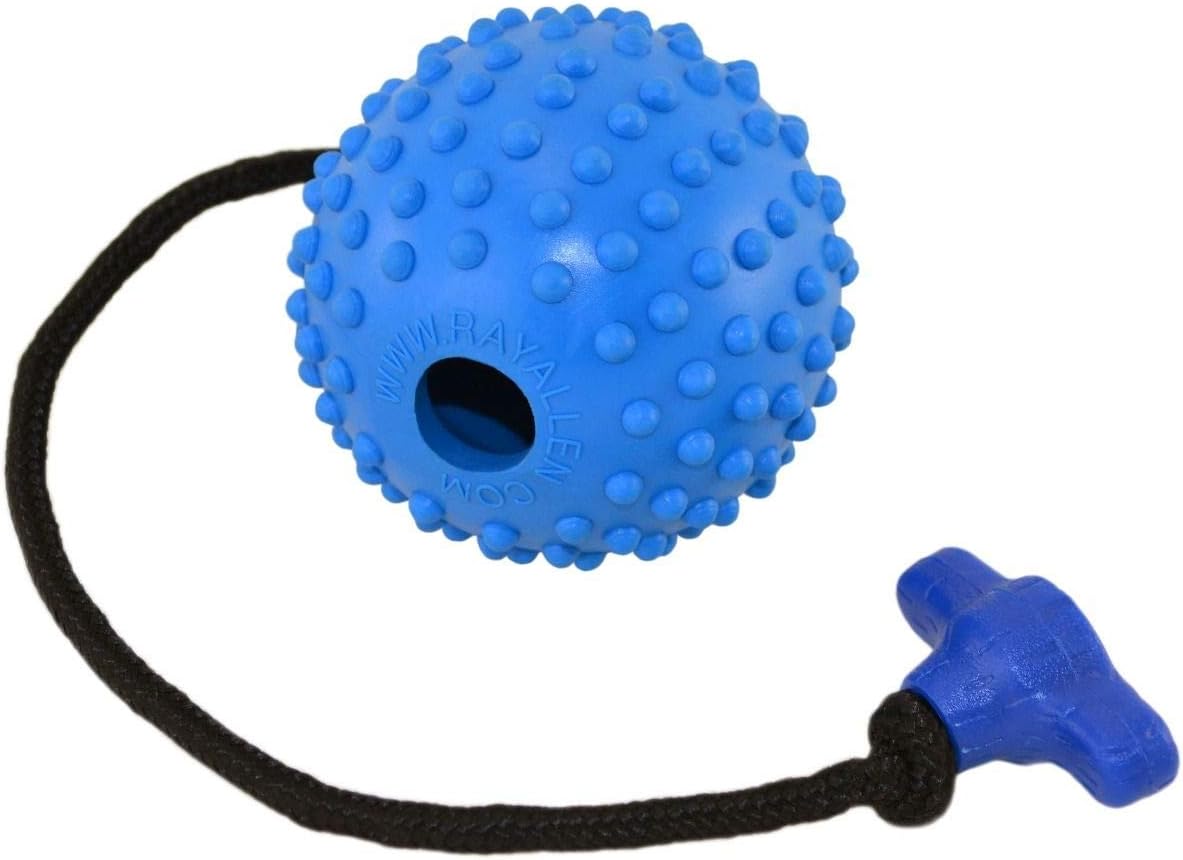 ray allen dog training